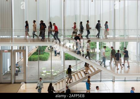 Il museo Art Institute of Chicago in Illinois Foto Stock