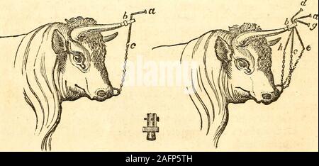 . Animali domestici; : storia e descrizione del cavallo, mulo, bovini, ovini, suini, pollame, e fattoria cani,. Fig. 6. Fig. 7.. Per addomesticare animali selvaggi. Figg. 6 e 7, per addomesticare uno scafo; b in Fig. 6, è un capscrewed sulla punta di corno; una c, un tondino di ferro hangingon un perno nel tappo, con una catena di raggiungere l'anello ia Foto Stock