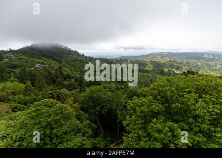 Montagne di Sintra presso il Parco Naturale di Sintra-Cascais a Sintra, Portogallo Foto Stock