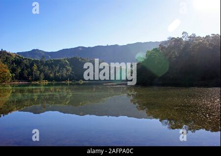 Svasatura sulla tke Lago, Telaga Warna, Dieng, Wonosobo, Giava centrale, Indonesia Foto Stock