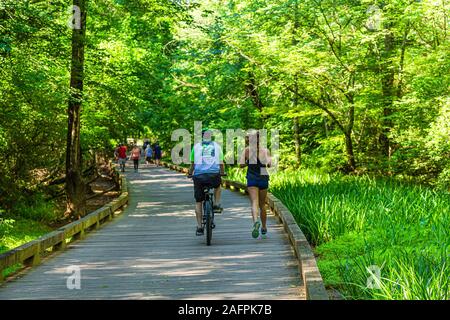 Ciclista e Runner su sentiero Foto Stock