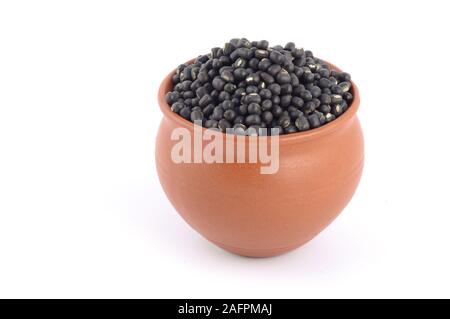 Murad dal, black gram, Vigna mungo in pentola di creta su sfondo bianco Foto Stock
