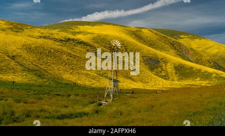 Marzo 31, 2019 - PIANURA CARIRIZO MONDUMENT NAZIONALE (BLM) CENTRALE CALIFORNIA, STATI UNITI D'AMERICA - fiori selvatici durante la primavera 'super bloom' a seguito di piogge vicino Lago di Soda & Cuyama mostra il mulino a vento Foto Stock