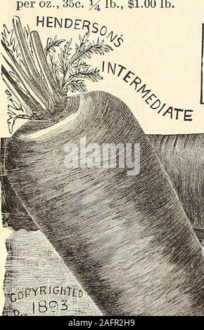 . Manuale di tutto per il Giardino : 1894. f giugno. Seminare in15 pollici oltre, diradamento a tre o quattro pollici tra le piante. Nel campo della cultura, quando viene cresciuto forhorses o bovini, le righe dovrebbero essere due piedi distanziati, in modo che il raccolto può essere lavorato per il cavallo in un coltivatore.come seme di carota è lento a germogliare, tutti devono essere prese delle precauzioni. Se per posta in quantità % lb e verso l'alto, la spedizione deve essere aggiunto al ratedi 8c. per libbra. Pacchetti, once e y^ libbre spedita liberamente. HENDERSONS intermedio. Una più eccellente varietà per eitherfield o giardino cultura, grandi radici simmetrica di un profondo ora Foto Stock