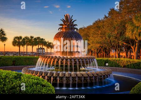 La Pineapple Fountain a Charleston, South Carolina, Stati Uniti. Foto Stock