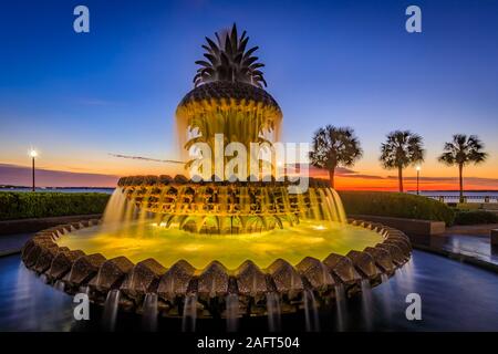 Waterfront Park è un parco di 5 ettari lungo circa 800 metri del fiume Cooper a Charleston, South Carolina. Foto Stock