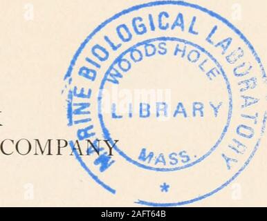 . Il animans e uomo; un elementare di un libro di testo di zoologia e fisiologia umana. COPYRIGHT 1911 BYHENRY HOLT E SOCIETÀ NOTA INTRODUTTIVA DI Questo libro è una semplice introduzione allo studio di thestructure, fisiologia, di comportamento e di classificazione di animalsand per lo studio del make-up e la fisiologia del corpo thehuman. Essa fa uso di alcuni dei quali hanno beenproved dall esperienza per essere il più utile parti-speciallyrevised per questo libro-degli autori Zoologyand elementari primo insegnamento di zoologia, al quale sono state addednew capitoli sulla struttura umana e fisiologia e oncertain relazioni speciali Foto Stock