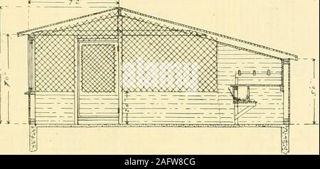 . Il pollame case e attrezzature. Come lay out impianti avicoli ... g andset 8 piedi di distanza con circa 6 pollici che sporge al di sopra della ilsuolo. I davanzali sono spikeddirectly alla faccia del postswith top del davanzale 2 pollici al di sopra topof post e disegni spacefilled in con terra o sabbia versol'estremità superiore del cantonale. Se a del tutto possibile,si consiglia una pietra concreteor foundation essere providedinstead di montanti in legno come sillscannot essere destinato a durare più di un paio di anni quando in directcontact con il terreno e isa difficile e costoso operationto sostituirli. Schede di pianura del basso costo dei gra Foto Stock