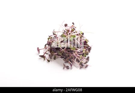 Organici vegetali microgreens per rendere detox insalate su bianco Foto Stock