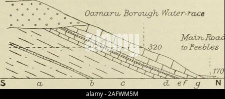 . La geologia del distretto di Oamaru, North Otago orientale (divisione di Otago). iun meridionalis (?) (SOW.). La sezione di estremità inferiore gu ramo Ovest, Landon Creek. Questa sezione è già stata descritta (pagina 16), e il rapporto di theOtotaran al Hutchinsonian illustrato dalla Fig. 15. L'effettivo contatto del greensands e il disco semi-Calcare cristallino bandwhich copre il Oamaru pietra è oscurato dal suolo blark ed erba. Sebbene thereseems per non essere letto di conglomerato a ba.se dell'greensands, è abbastanza certainfrom ciò che può essere visto che la superficie superiore del disco calcare i Foto Stock