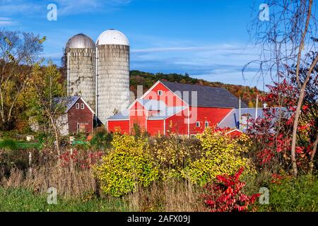 Colori d'autunno farm, Jeffersonville, Vermont, USA. Foto Stock