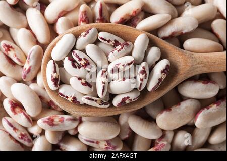 I fagioli secchi nel cucchiaio di legno su imbevuto beans.Organic fagioli sfondo..il cibo sano concetto.Il fuoco selettivo,orizzontale. Foto Stock