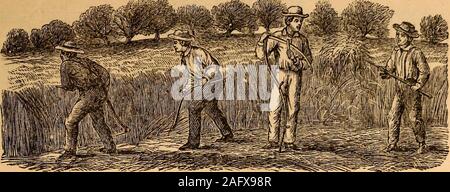 . La Leavitt dell'agricoltore almanack, migliorati e varie anno libro, per l'anno del Signore 1885. ets. 13 Mo. alta marea. Doccia8.A 217 22 cuore 1 18 8 29 14 Tu. Brisk venti. 4 227 21 cuore 2 14 9 14 15 W. 21 6 d • molte nuvole. 4 22 7 20 pancia 3 10 9 53 16 Th. ¥ 4 "• 4 23,7 20 pancia 4 1 10 48 17 Fr. Docce Sudn, probabilmente 4 24,7 19 redini 4 50 11 6 18 8a. Bassa marea. Il tuono. 4 25 7 18 redini 5 39 11 40 19 S. 7 S. AFT. Trin. $ & ? . 4 26 7 18 vede 6 26 mattino 20 Mo # in sext.©. Docce. 4 27 7 17 vede 7 12 0 3 21 Tu. 4 28 7 16 7 58 0 34 22 W. ventoso. 4 297 15 lattine 8 44 1 7 23 Th 4 30 7 Foto Stock