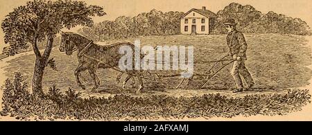 . La Leavitt dell'agricoltore almanack, migliorati e varie anno libro, per l'anno del Signore 1885. w Sund. 9 (5 2 insex. A 9 . $ ? C • 21 in trine di©. Lo scongelamento. Alta Marea. § 6 &LT;L • i pianeti sono in silenzio. Fiera Mooninfluences. 2d Sund. indietro. Pasqua. ([In perigeo. Fiera. ([Corre alta. Bassa marea. 31 & &. La luna in-dicates burrascoso. 6 &LT;r. 3d S. AFT. Pasqua. Freddo. Pioggia 5 (50. S. Vento. Hisrh maree. 28,6 1325,6 1226.6 1423 6 16216 17196 1818,6 1916,6 205 U6 21 136 22 11J6 23 9,6 24 8,6 26 6 6 27 5 6 28 36 30 116 31 0 6 32 58,6 33 576 34 556 36 546 37 526 38 516 39 49 6 40 48 6 41 46 6 42 45 6 43 4 Foto Stock