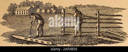 . La Leavitt dell'agricoltore almanack, migliorati e varie anno libro, per l'anno del Signore 1885. 8 43 3 33 13 Fr. 5 sup. Un ©. Vento del sud. 5 58 5 51 gambe 9 32 4 13 14 Sa. Stamp Act ha superato 1765. 5 46 5 52 piedi 10 20 4 49 15 S. &gt;i ? &Lt;? . Lo scongelamento 5 5 54 53 piedi 11 10 5 24 16 Mo. alta marea. 5 52 5 54 fVet ev. 0 set. 17 Tu. ^ g £ . Venti alti 5 51 5 55 head 0 47 7 14 18 W. 5 49 5 56 la testa 1 36 8 17 19 Th. Yi ? 9 . Neve. 5 48 5 58 collo 2 25 9 23 20 Fr. ©ent. °f. Inizia a molla. 5 47 5 59 collo 3 16 10 28 21 Sa. ([Attraversa la equatorN. 5 4&LT; 6 Oarms 4 11 11 33 22 S. W S ©• Vento e neve. 5 Foto Stock