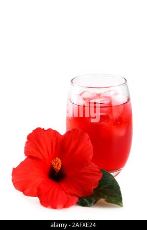 Freddo hibiscus rinfrescante ted ghiacciato in un bicchiere con fiore rosso, spazio copia vvertical Foto Stock