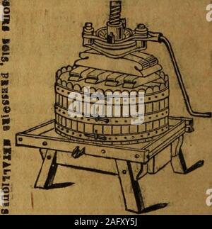 . La Revue de la viticoltura : Organe de l'agriculture des régions viticoles. Hors Concours. Membre du .)ury. Exposition coloniale de Marseille 1906. PRESSOIR RATIONNELA LSVIER ET AU MOTEUR Aveo oa sans aooumalatear de livraison pression de vis et ferrures seules FOULOIRS UN VENDANGE BROYEURS UN POMMFS " 50.000 Appareils Tendas aTeo Garantie 5 HEUJilER FILS * | CONSTRUCTHURSf | (•0-87-89. ÏPu" Saitit-Miekiel - LVON-Catalogo aUILLOTIfiRB itluttré frunco &LT;ur dtmand". CAZAUBON & FILS ^ Ingénieur-Constructeur Rue Notre-Daïue-de-Nazaret, 43 - Parigi &gt; &gt; TS 0 O rs ^^ p -a o ^ s un- ^5 3 K t" Ci- 2 Foto Stock