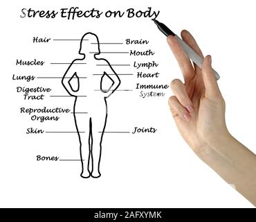 Gli effetti dello stress sul corpo Foto Stock