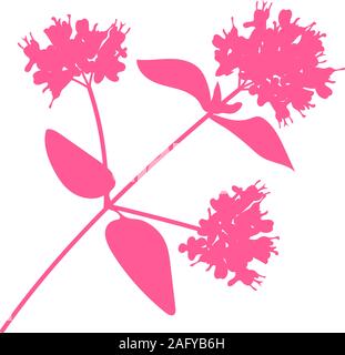 Origano icona vegetale isolato su sfondo bianco vettore piatta Illustrazione Vettoriale