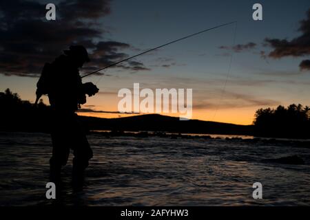 Un solitario pescatore a mosca la legatura su un volo al tramonto nel Maine. Foto Stock