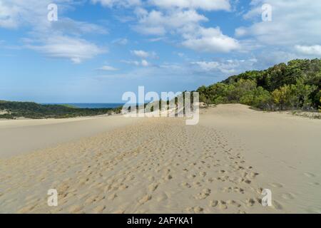 La luminosa spiaggia deserta vicino al mare su Fraser Island in Australia Foto Stock