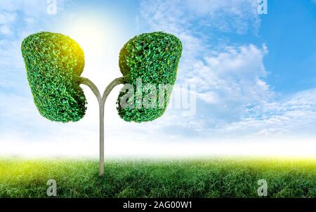 Polmone verde a forma di albero di immagini, concetti medici, autopsia, visualizzazione 3D e animali come un elemento Foto Stock
