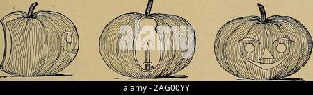 . Home Missione dell'artigianato; idee per lavorare e giocare in bande di missione e junior società. Vista laterale. Vista posteriore.Fig. 213.-zucca lanterna. seduta sul pavimento, fumare le tubazioni della pace. Il Indiansalso sono sorridente. Proprietà. La tabella stessa come in Tabella 3 : stoviglie, frutta e verdura.Gli indiani sono tubi bastoni con manici piegati. Se, nel disporre lo stadio, vestiti-cavalli, con panneggi gettato nessun autunno. su di esse sono poste sul retro, esse non costituiscono soltanto un ritorno di massa per le foto presentati, ma lo spazio dietro makesa nice spogliatoio o ritirarvi-posto per coloro che vi prendono parte. Pu Foto Stock
