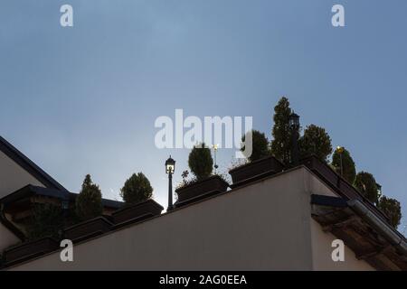 Pianti pentole sulla cima f il tetto Foto Stock