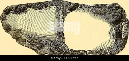 . Sesta relazione annuale della United States Geological Survey di territori, abbracciando porzioni del Montana, Idaho, Wyoming e Utah : essendo una relazione di avanzamento delle esplorazioni per l'anno 1872. riake nero della pietra focaia, dimensione naturale. Dalla pianura vicino a salutare a secco. Fig. 6.. Foto Stock