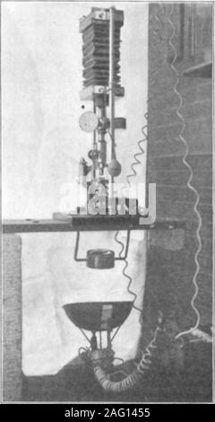 . Scientific American Volume 82 Numero 12 (marzo 1900). COFEFOD, 260 DIAHETEBS, 1-40 secondo EXFOSTTBE. con la movimentazione della lastra fotografica stessa, inorder per ottenere i migliori risultati. I diversi metodi generali impiegati in questo worktogether con ingrandimento appropriato per determinate forme,tipo di illuminante, con i filtri di ray, esposizione e char-acter della piastra, richiedono un trattamento distinto, come il capo. AFFABATUS FOB FHOTO ISTANTANEA-UICB06BAFHY. Scopo di questo articolo è quello di descrivere un nuovo apparecchio formaking fotografie istantanee di vita micro-scopic animali. Dopo aver lavorato u Foto Stock