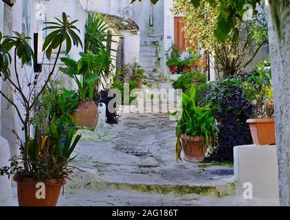 Atene / Grecia - Dicembre 06, 2019: pittoresca stradina di Anafiotika, quartiere Plaka, Atene, Grecia. Attrazione turistica a Acropolis hill sl Foto Stock