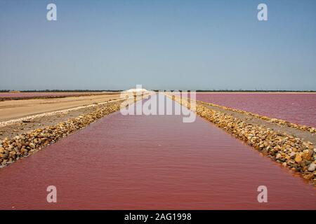 Francia, Arles, Camargue, l'Aigues Mortes saline al delta del fiume Rodano Foto Stock