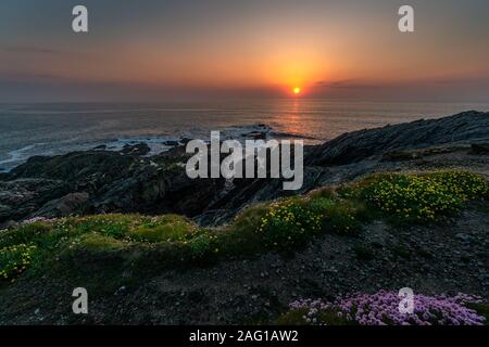 Towan promontorio in North Cornwall a Newquay Fistral Beach, England, Regno Unito, Gran Bretagna Foto Stock