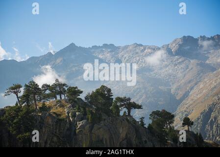 Detall estany negre Foto Stock