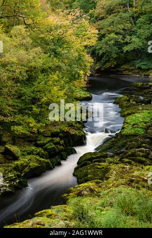 Alta Vista del fiume Wharfe fluente attraverso la paesaggistica strette, ripide facciate valle delimitata da 'hotel Astrid Legno - Bolton Abbey Estate, Yorkshire Dales, Inghilterra, Regno Unito. Foto Stock