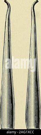 . Materie plastiche e di riempimento; come appartenenti al riempimento di tutte le cavità di decadimento in denti sotto il livello medio di struttura e di difficile e cavità inaccessibili in denti di tutti i gradi della struttura. lt, essi devonoessere tenute in posizione dalla sonda fino a quando essi vengono fatti adhereto pareti mediante l'uso di un plugger, quando tale adesione deve,a sua volta, essere mantenuto con il plugger, mentre la sonda è cura completamente ritirata. Si tratta di una considerazione importante che la precisione in quantità offilling materiale dovrebbe essere considerato, così come il minimo ofsurplus rimarrà per la rimozione prima di finitura. Durante Foto Stock