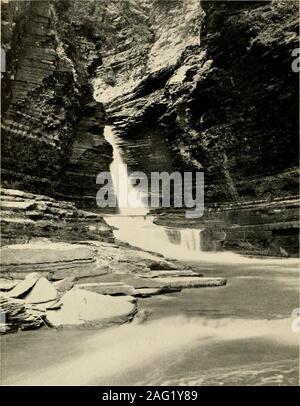 . Descrittivo e illustrato libro guida del famoso Watkins Glen, una New York prenotazione, situato a Watkins, Sehuyler Co., N.Y. (Capo del Lago Seneca). Cattedrale di riflessione è una vista guardando il clown dal centro e rappresenta un antico agglomerato di alberi quasi ioofeet alta. Il fonte battesimale è una bellissima piscina vicino alla estremità superiore. [ 23 ]. Cascata centrale sessanta cinque metri di altezza, con una piscina profonda alla sua base è a metà strada tra il marchio FranklinStreet e il ponte ferroviario. Il pulpito Rock, uno dei più alti in the glen, telai su banca del sud a questo punto. [ 24 ] Foto Stock