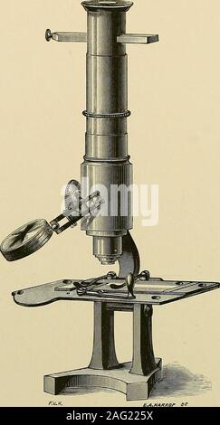 . Materie plastiche e di riempimento; come appartenenti al riempimento di tutte le cavità di decadimento in denti sotto il livello medio di struttura e di difficile e cavità inaccessibili in denti di tutti i gradi della struttura. @ © (S) Foto Stock