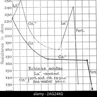 . La conducibilità elettrica di echinodermi uova, e il suo cuscinetto sui problemi della fecondazione artificiale e la partenogenesi. c agente. Ma mentre theeffect dello spermatozoo sulla resistenza elettrica dell'uovo è abbastanza irreversibile,che di citrato di sodio è parzialmente o interamente rimosse se le uova vengono trasferiti tonormal acqua di mare. Che i due fenomeni sono correlati risulterebbe dal fatto che la esposizione soluzione tocitrate, si anticipa una parte della caduta in resistancecaused elettrico mediante lo spermatozoo. 3 Y 2 516 ME. J. grigio sulla conducibilità elettrica di ECHIN Foto Stock