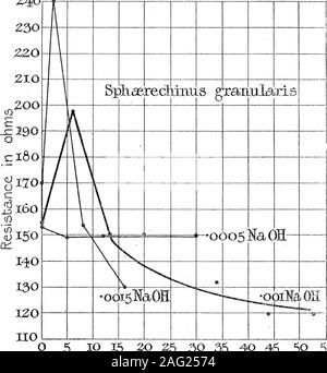 . La conducibilità elettrica di echinodermi uova, e il suo cuscinetto sui problemi della fecondazione artificiale e la partenogenesi. yl Ion dalla conduttività di uova non fertilizzati. Tabella XXII. Uova. Forza di alcali. Diminuire inresistance. Dopo xminutes. Strongylocentrotus Sphcerechinus n 50 c.c. Hoffs vant soluzione + 0 • 25 c.c. N/10 NaOH + 0*25+ 0-5++ 0-75 0-75+ 0*25+ 0*25 )" jj &gt;j : j jj un per cento. 10 3 1 ?9 22 ?1 9 4 23 5 20 •9 11 8 6030 U 8 16 66 57 50 c.c. Hoffs vant soluzione + 025 c.c. N/10 NaOH = soluzione A; 50 vant c.c. soluzione Hoffs+ 0*5 c.c. N/10 NaOH = soluzione B ; 50 c.c. Foto Stock