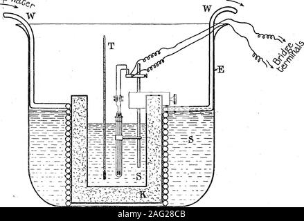 . La conducibilità elettrica di echinodermi uova, e il suo cuscinetto sui problemi della fecondazione artificiale e la partenogenesi. ds per collegare con un ponte i morsetti; K, morsetto per il fissaggio al termostato. E il suo cuscinetto sulla fecondazione artificiale e la partenogenesi. 485 d'accordo. È stato trovato essere possibile raccogliere le uova in modo da obtainuniform letture da osservazioni ripetute. Nei successivi esperimenti le uova weresettled da dolci uso di una centrifuga ; tale trattamento non fa male le uova in comunque e semplifica notevolmente la tecnica. Considerando che la tecnica di cui sopra è sufficiente per experime Foto Stock