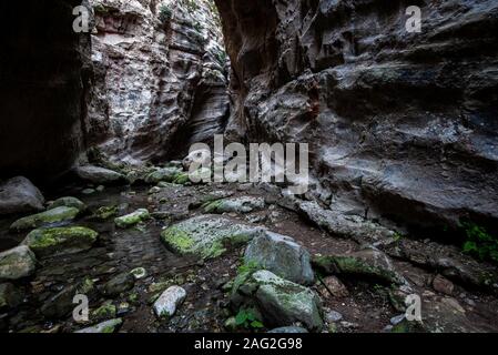 Il famoso, bello e pittoresco Avakas gorge alla penisola di Akamas , distretto di Paphos in Cipro Foto Stock