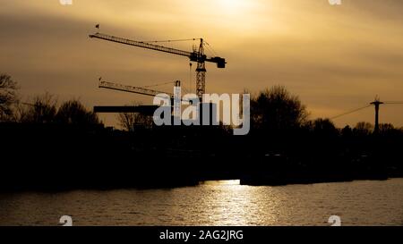 Due gru nel tramonto, nella parte anteriore il porto fluviale Mühlheim, Colonia, Germania Foto Stock