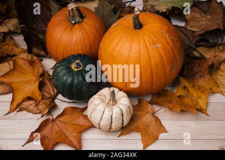 Colpo ad alto angolo di zucche circondate da foglie marroni su Una superficie di legno per Halloween Foto Stock