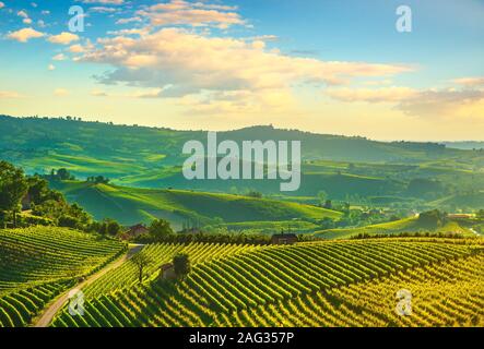 Vigneti delle Langhe panorama al tramonto, Grinzane Cavour, sito Unesco, Piemonte, Italia del nord Europa. Foto Stock