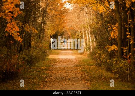 Bellissimo scatto di persone che camminano in un maestoso parco autunnale pieno di diverse sfumature di giallo Foto Stock