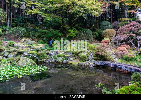 Kozenji tempio è uno dei più grandi e importanti templi in Prefettura di Nagano. Il suo giardino è famoso come un pianto di fiori di ciliegio visualizzazione spot, un Foto Stock