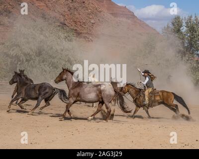 Un cowgirl o wrangler aziona una mandria di cavalli con il suo lazo avvolta ad anello overhead sul Red cliffs ranch vicino a Moab, Utah. Un altro cowboy è nascosto da th Foto Stock