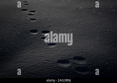 Nero riflettente deserto deserto stellato, footprint sconosciuto Foto Stock