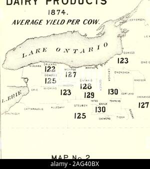 . Censimento della popolazione dello stato di New York per il 1875. Prodotti lattiero-caseari 1874.media Y/ELD PER VACCA. :^. .&Lt;?• ST LAWRENCE FRANKLIN CLINTON ESSEX LEWIS MAM ILION WARREN Foto Stock